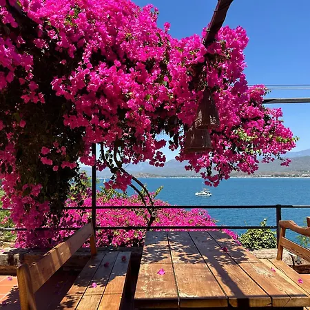 Hotell Ece Sovalye Island Fethiye