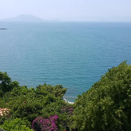 에제 소발리에 아일랜드 페티예