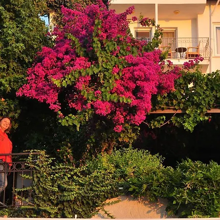 Ece Sovalye Island 3* פאטהיה