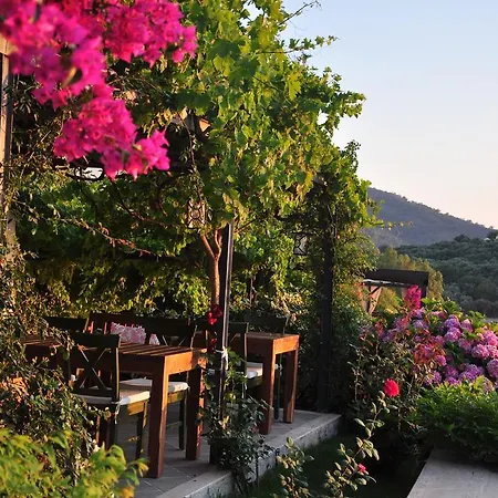 Ece Sovalye Island Hotell Fethiye