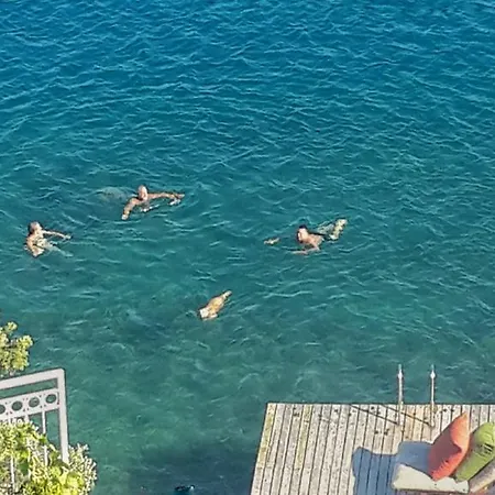מלון Ece Sovalye Island 3*
