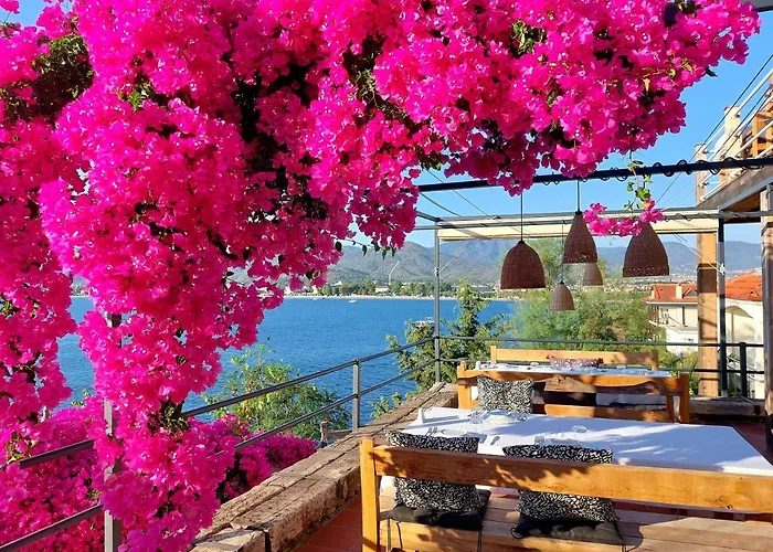 酒店 伊思索瓦利岛酒店